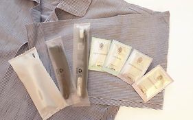 Toyoko Inn Fuji Kawaguchiko Ohashi